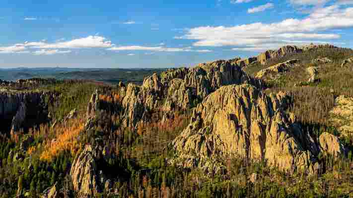 The family out-sculpting Mount Rushmore